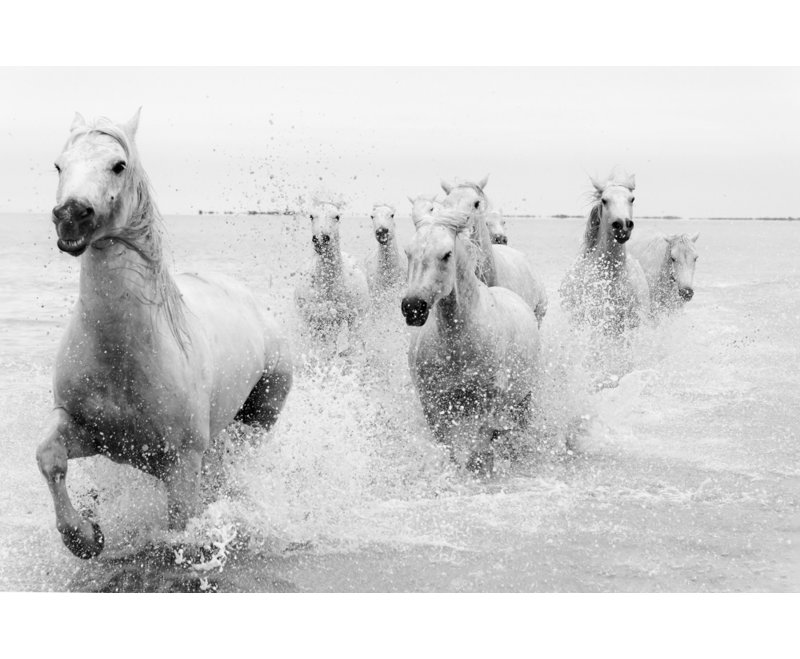 Wrapped Canvas Print, 50.8 cm H x 76.2 cm W