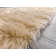 Nisar Indoor Rug