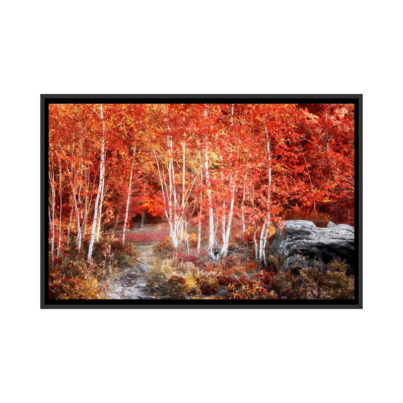 Birches Garden by Philippe Sainte-Laudy - Print on Canvas, 101.6 cm H x 66.04 cm W, Black Framed