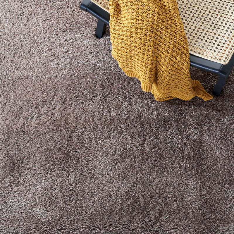 Schmitt Shag Performance Solid Color Rug, Rectangle 4' x 6'