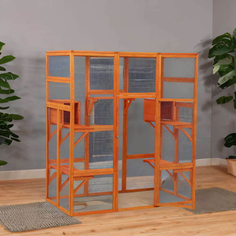 Grande cage à chat, H 70 po x l 62,4 po x P 32,4 po, Orange