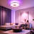 Hemion 19.6" Rgb Ceiling Fan With Led Lights And Remote Control (ser Of 2)-117493581