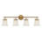 Gleanarm 4-Light Bathroom Vanity Light In Black-70337276-119772782-119772786
