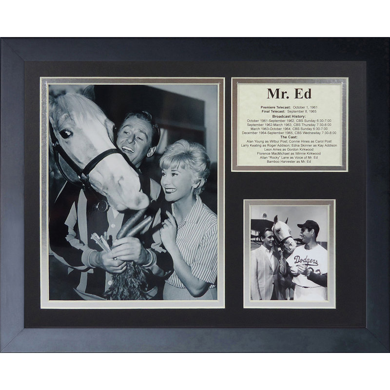 Souvenirs encadrée mr. ed