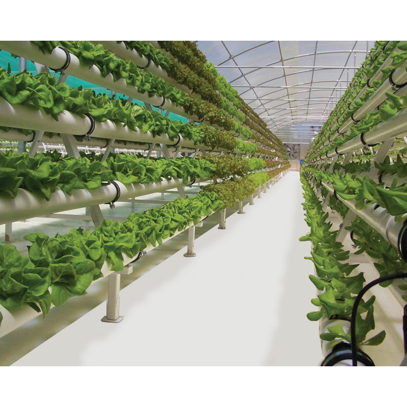 Planchers de serre et de culture GrowFloor, L 10 pi x P 61 pi