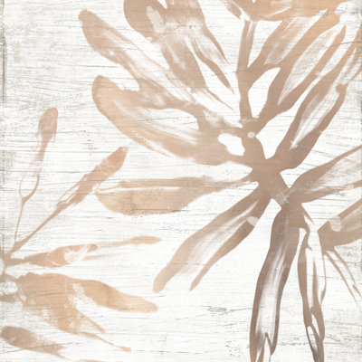 Neutral Palm Fossil VI by June Erica Vess - Wrapped Canvas Painting