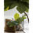 Large-Scale Simulation Green Bread Tree Living Room Floor Decoration Pot