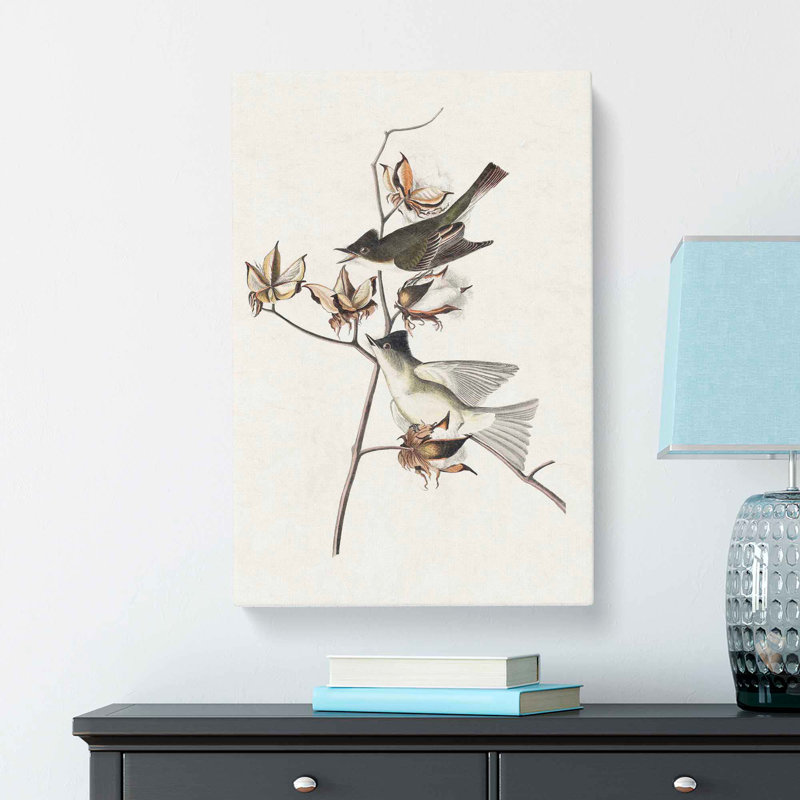 Pewit Flycatcher Birds - Wrapped Canvas Print, 76cm H x 50cm W x 3cm D