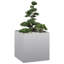 Planter-1920376236-1937852850