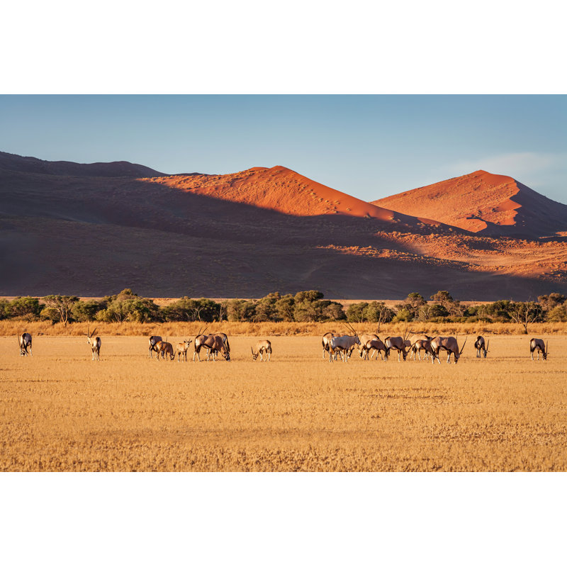 Namibia by Mlenny - Wrapped Canvas Print, 30cm H x 46cm W x 3.8cm D