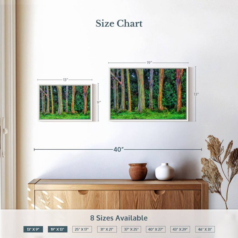 Eucalyptus arc-en-ciel, Cadre flottant blanc, 19 po x 13 po