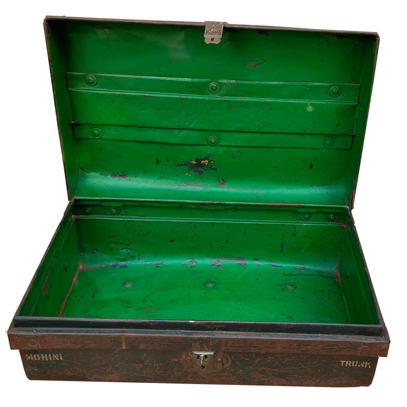 Agnant Handmade Decorative Trunk