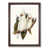 Walnut Framed