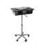 Techni Mobili Folding Table Laptop Cart