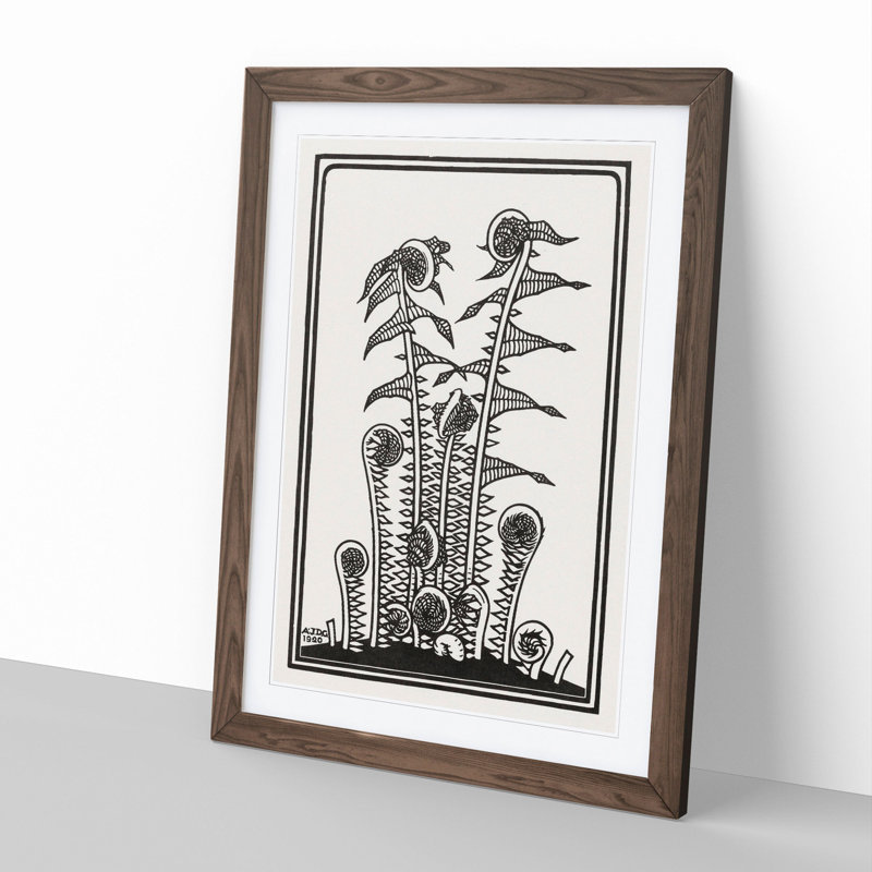 Ferns by Julie De Graag - Picture Frame Graphic Art, 36cm H x 27cm W x 2cm D, Walnut Framed