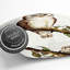 Delicate Owl Square Throw Cushion-56358049