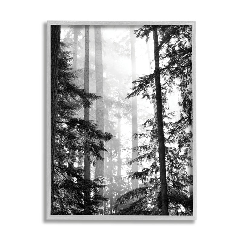 «Forest Light» qui brille à travers de grands arbres, photographie de paysage de ferme grise, giclée, art texturé par Gail Peck