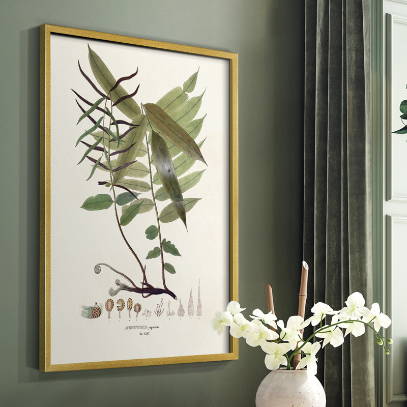 Botanical Society Ferns VI, reproduction encadrée - bois massif, H 14 po x l 11 po