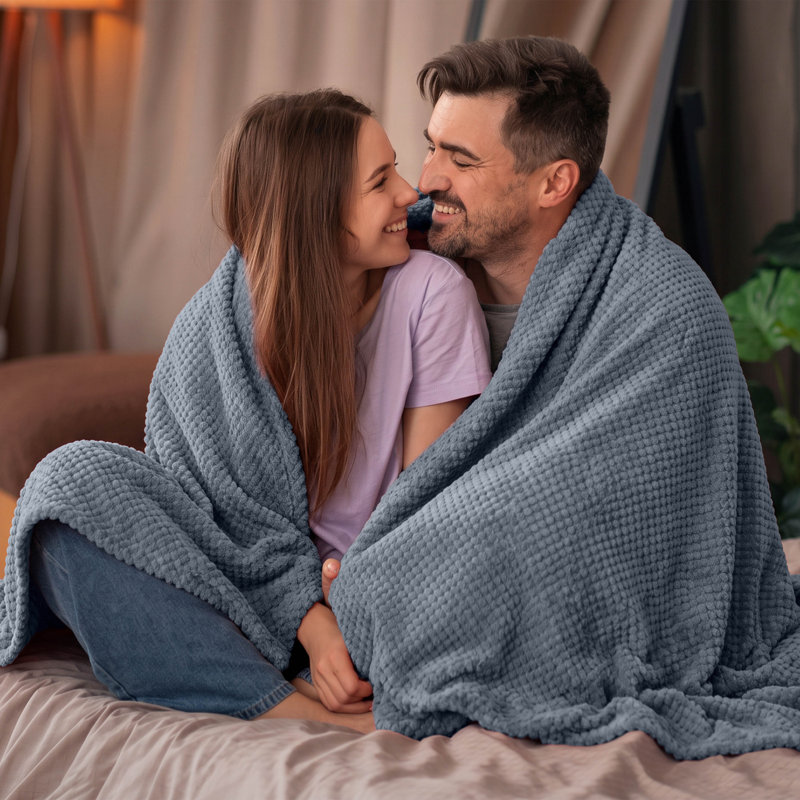 Vellux Plush Texture Blanket, Denim, Twin