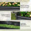 Raised Garden Bed