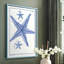 Blue Sea Stars III, reproduction encadrée - bois massif-1919613306-1919613307