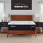TEMPUR-Adapt® Medium Hybrid 11" Mattress-495585937