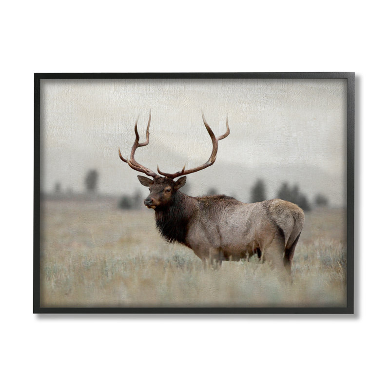 «Tranquil Elk Deer Grazing Farmal Farmland Field» par Danita Delimont - photographie à cadre flottant sur toile