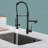 GAWEZA Pull Down Kitchen Faucet-80365720