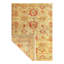 Oriental Area Rug in Beige