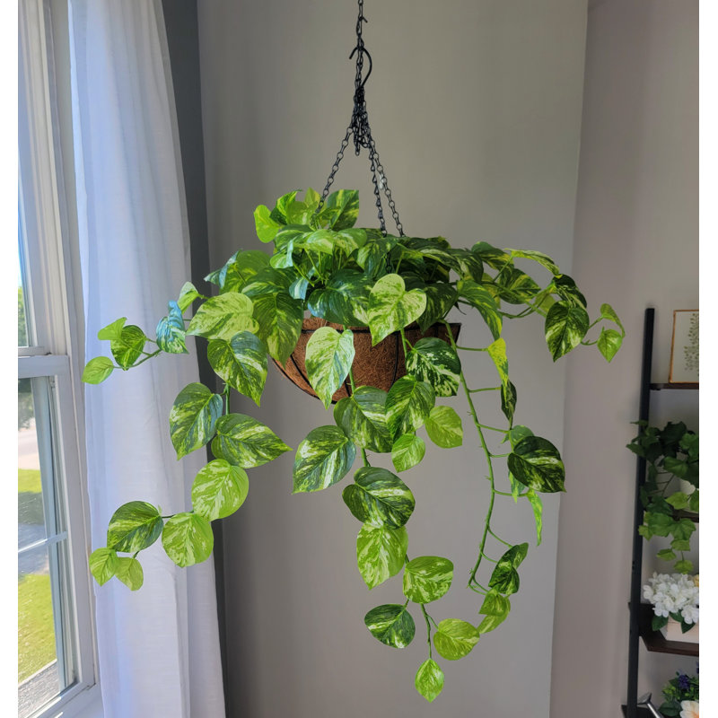 Real Touch Marble Pothos Hanging Bush, 31" H x 22" W x 4" D