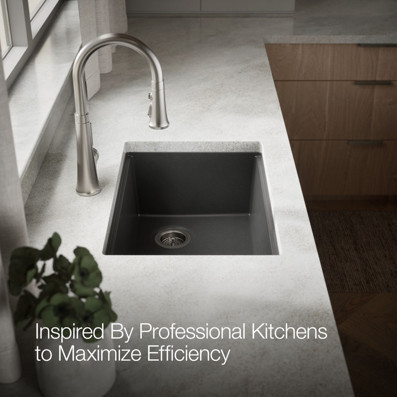 Billings Undermount Single-Bowl Workstation Kitchen Sink, Black