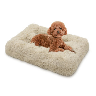 https://assets.wfcdn.com/im/94183416/resize-h310-w310%5Ecompr-r85/2631/263151607/pet-bed-fluffy-plush-faux-fur-cat-dog-bed-rectangle-pet-seat-cushion-soft-sleeping-pad.jpg