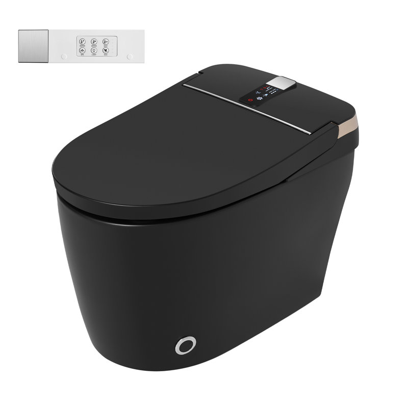 BirchLn Smart One-Piece Toilet With Heated Seat, Auto Flush, Automatic Lid, Bidet Wash And Air Dryer, Black