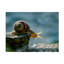 Art sur toile «boline Dmitry Skvortsov»-109335297