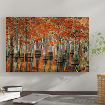 «Mill Pond Cypress Trees and Leurs Reflections, George L. Smith State Park, Emanuel County, Georgia, USA», reproduction de photo sur toile