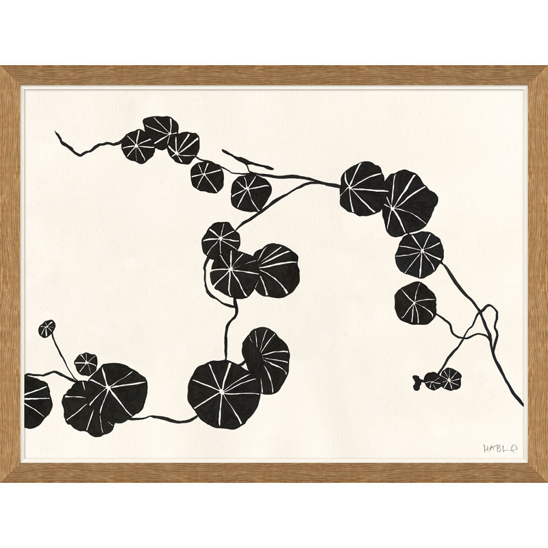 Nasturtium 1 Giclee Print by Susan Hable