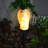 Handles Resin Solar Powered Resin Pathway Light