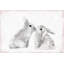 Impression sur toile tendue-50907864