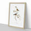Scarlet-Breasted Robins by Elizabeth Gould - Picture Frame Painting Print-55613528-55613529