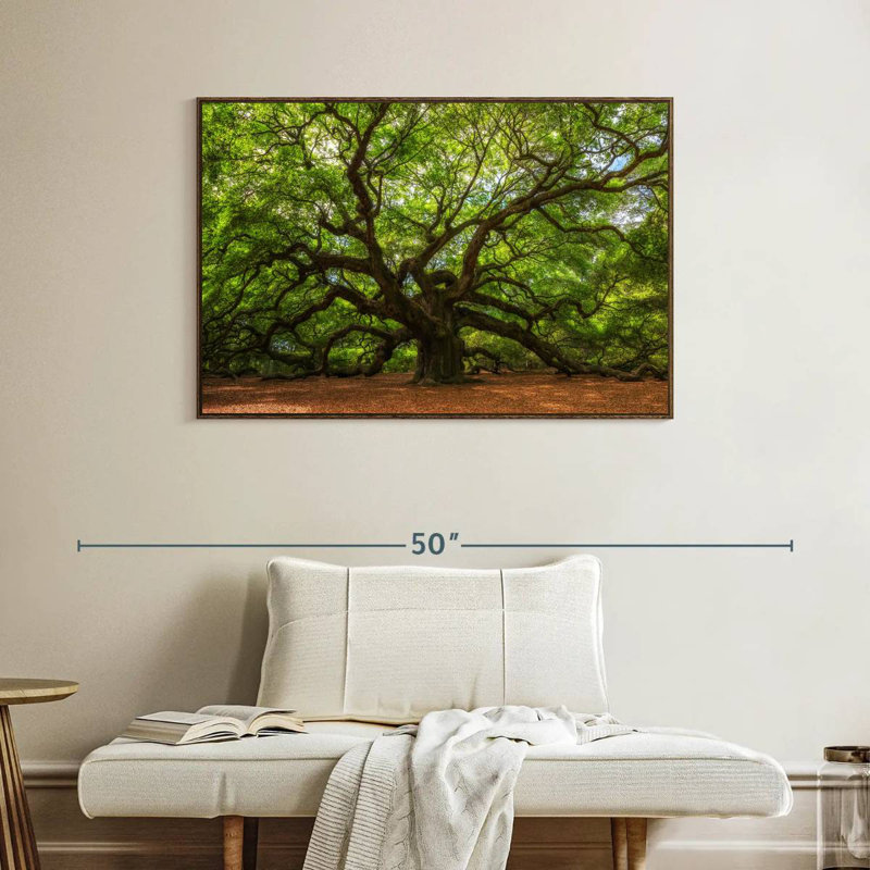 Chêne, Cadre flottant noyer, 40 po x 27 po