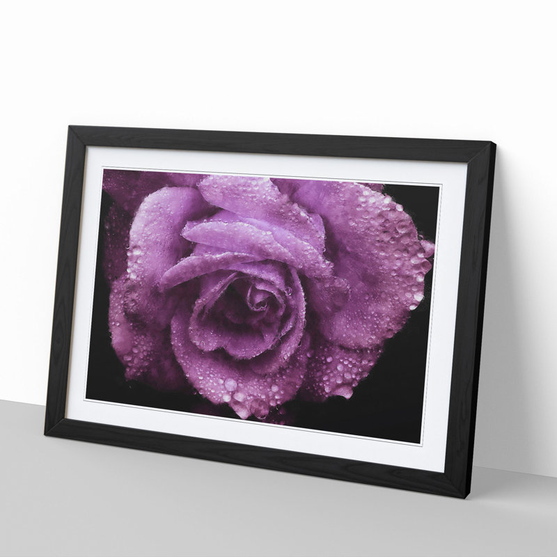 Purple Rose Flower Vol.1 - Framed Print, 27cm H x 36cm W x 2cm D, Black Framed