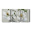 Shiplap Magnolias - Toile tendue avec châssis de qualité supérieure - Prêt à être accroché-81266176