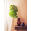 Fiori 109cm Faux Palm Branch