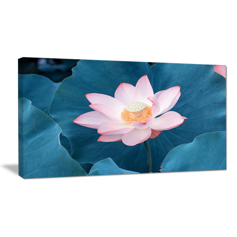 Fleur rose lotus, reproduction de photo sur toile tendue, H 20 po x l 20 po x P 1 po