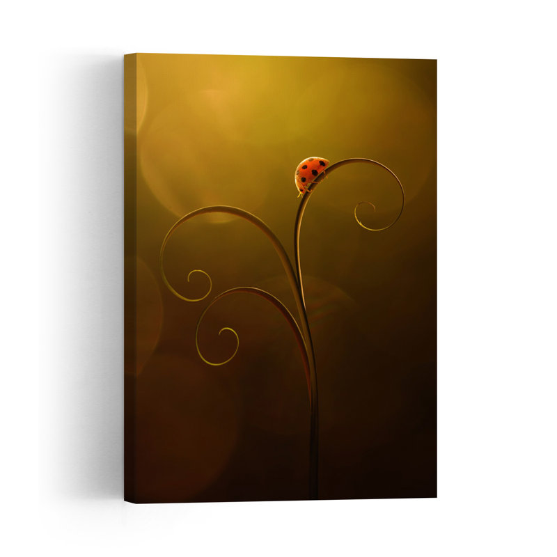 Ladybug On Golden Spiral Delicate Elegant Minimalist Ladybug Nature Plant Wall Art Print 1 Piece Wrapped Canvas Wall Art
