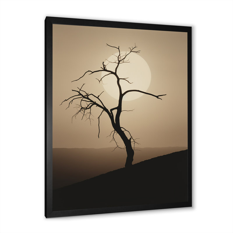 Minimalisme clair de lune, désert, simplicité, H 32 po x l 24 po x P 1 po, Cadre simple noir