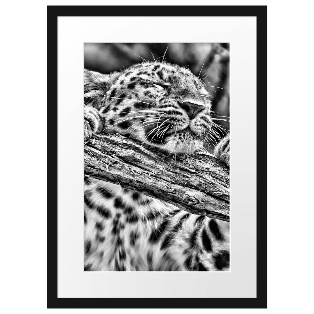 Gerahmtes Poster Verspielter Leopard