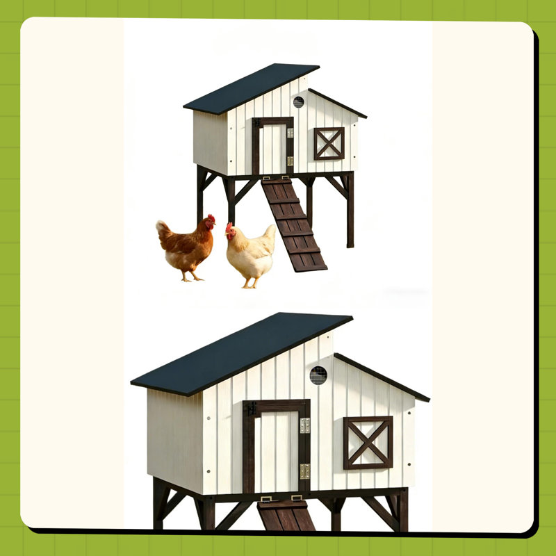 Maison pour animaux de compagnie, poulailler
