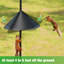 Mangeoire d'oiseaux 80 po avec cloison pour écureuil et 2 crochets Bird House Pole