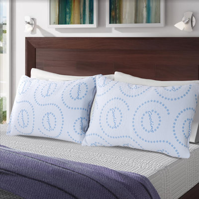 Pillow Protector